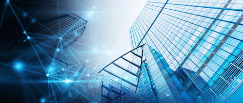 強化信息技術對國家治理體系和治理能力現(xiàn)代化的支撐