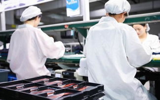 用夯實(shí)的基礎(chǔ)一步步走向巔峰,看vivo如何成為最受歡迎品牌